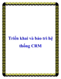 Triển khai và bảo trì hệ thống CRM