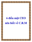 6 điều một CEO nên biết về C.R.M