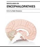 MISCELLANEA ON ENCEPHALOPATHIES