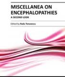 MISCELLANEA ON ENCEPHALOPATHIES – A SECOND LOOK