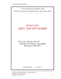 BÁO CÁO THỰC TẬP TỐT NGHIỆP-Đề tài: "Quá trình sản xuất và kiểm tra chất lượng sản phẩm tại CTY CỔ PHẦN ĐIỆN TỬ THÀNH LONG