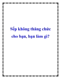 Sếp không thăng chức cho bạn, bạn làm gì?