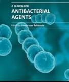 A SEARCH FOR ANTIBACTERIAL AGENTS