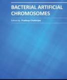 BACTERIAL ARTIFICIAL CHROMOSOMES