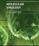 MOLECULAR VIROLOGY
