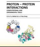 PROTEIN-PROTEIN INTERACTIONS –COMPUTATIONAL AND EXPERIMENTAL TOOLS