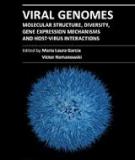 VIRAL GENOMES – MOLECULAR STRUCTURE, DIVERSITY, GENE EXPRESSION MECHANISMS AND HOST-VIRUS