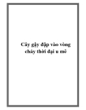 Cây gậy đập vào vòng chảy thời đại u mê