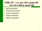 FOREX-3 (spot+forward)_CO MAI