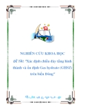 NGHIÊN CỨU KHOA HỌC-ĐỀ TÀI: "xác định chiều dày tầng hình thành và ổn định Gas hydrate(GHSZ) trên biển đông"