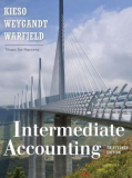 THE ACCOUNTING ENVIRONMENT