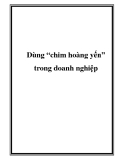 Dùng “chim hoàng yến” trong doanh nghiệp