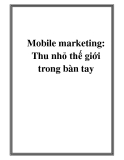 Mobile marketing: Thu nhỏ thế giới trong bàn tay