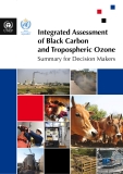 Integrated Assessment of Black Carbon and Tropospheric Ozone