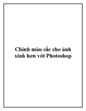 Chỉnh màu sắc cho ảnh xinh hơn với Photoshop.