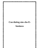 Con đường nào cho Ebusiness