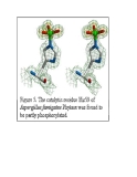 Phytase, enzyme phân giải phytate và tiềm năng ứng dụng công nghệ sinh học