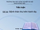 Bệnh thán thư trên hành tây