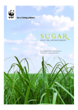 SUGAR AND THE ENVIRONMENT