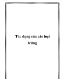 Tác dụng của các loại trứng