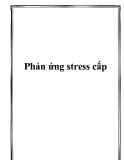 Phản ứng stress cấp