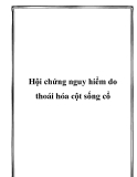 Hội chứng nguy hiểm do thoái hóa cột sống cổ