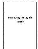 Dinh dưỡng 3 tháng đầu thai kỳ