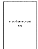 Bí quyết chọn CV phù hợp