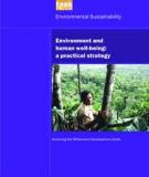 Environment and human well-being: a practical strategy