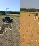 The environmental consequences of adopting conservation tillage in Europe: reviewing the evidence