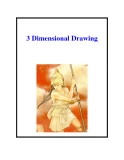 3 Dimensional Drawing 