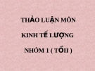 THẢO LUẬN MÔN KINH TẾ LƯỢNG