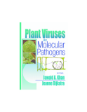 Plant Viruses As Molecular Pathogens