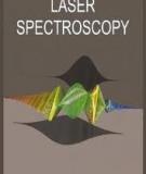 Femtosecond Laser Spectroscopy