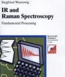 IR and Raman Spectroscopy Fundamental Processing