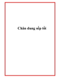 Chân dung sếp tồi