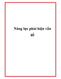 Năng lực phát hiện vấn đề