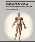 Sách: SKELETAL MUSCLE – FROM MYOGENESIS TO CLINICAL RELATIONS