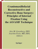 Craniomaxillofacial Reconstructive and Corrective Bone Surgery: Principles of Internal Fixation Using the AO/ASIF Technique