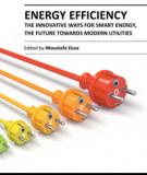 ENERGY EFFICIENCY – THE INNOVATIVE WAYS FOR SMART ENERGY, THE FUTURE TOWARDS MODERN UTILITIES