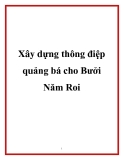 Xây dựng thông điệp quảng bá cho Bưởi Năm Roi