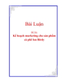 Bài Luận :  Kế hoạch marketing cho sản phẩm cà phê lon Birdy