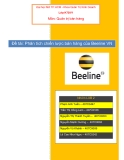 Đề tài: Phân tích chiến lược bán hàng của Beeline VN