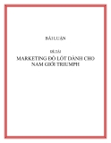 BÀI LUẬN ĐỀ TÀI:   MARKETING ĐỒ LÓT DÀNH CHO NAM GIỚI TRIUMPH