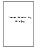 Hoa mộc chữa đau răng, hôi miệng