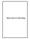 Quả trám trị viêm họng