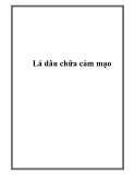 Lá dâu chữa cảm mạo