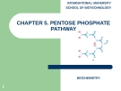 CHAPTER 5. PENTOSE PHOSPHATE PATHWAY