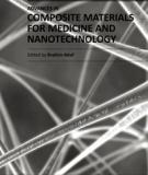 ADVANCES IN COMPOSITE MATERIALS FOR MEDICINE AND NANOTECHNOLOGY_2
