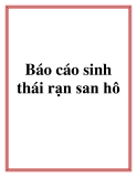 Báo cáo sinh thái rạn san hô